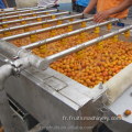 Machinerie de transformation des légumes de fruits alimentaires en conserve